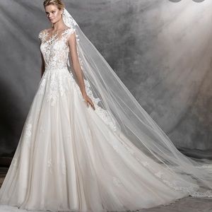 Brand New Pronovias lace veil
